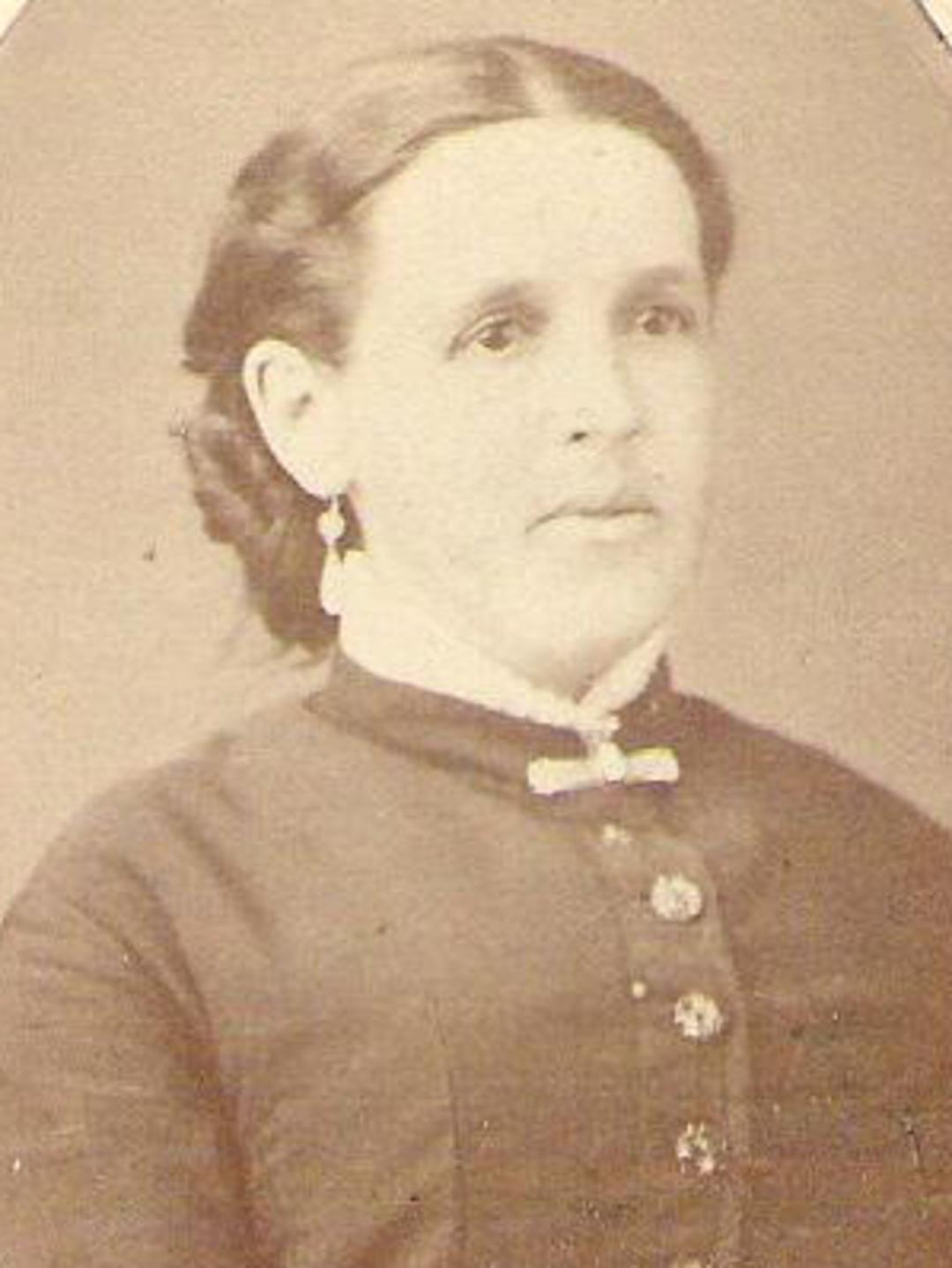 Mary Ann Elmer (1849 - 1899) Profile